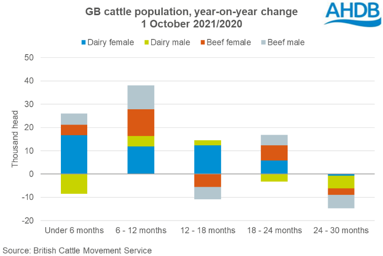 Year-on-year change in GB cattle population Oct-21